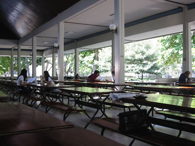 朝の文学部学食